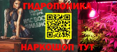 мяу мяу мука Гусев