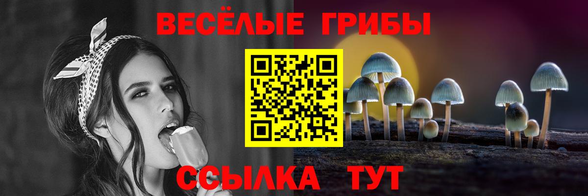 Калуга  Псилоцибиновые грибы Magic Shrooms  Вход с VPN 